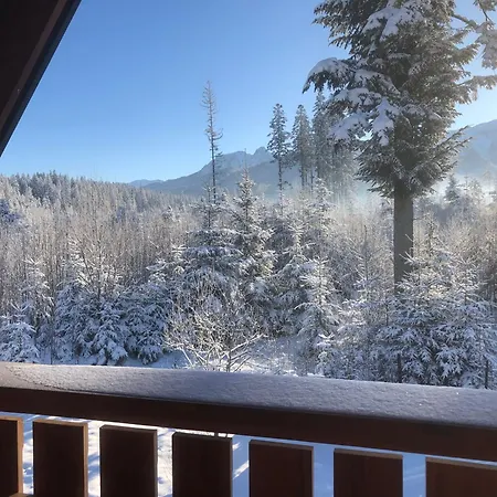 Zasniezony Przy Dolinie Chocholowskiej Holiday home Witow (Tatra)